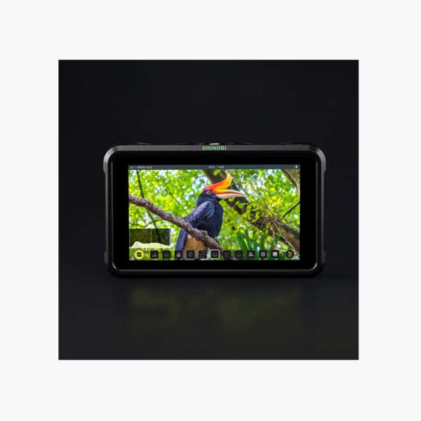 Atomos SHINOBI 5” monitor - Image 5